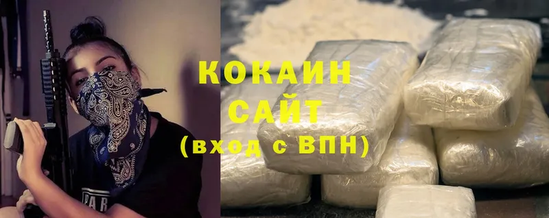 КОКАИН FishScale  купить наркотики цена  Дмитриев 